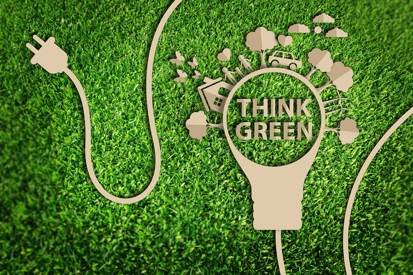 Is Your Business Environmentally Conscious?