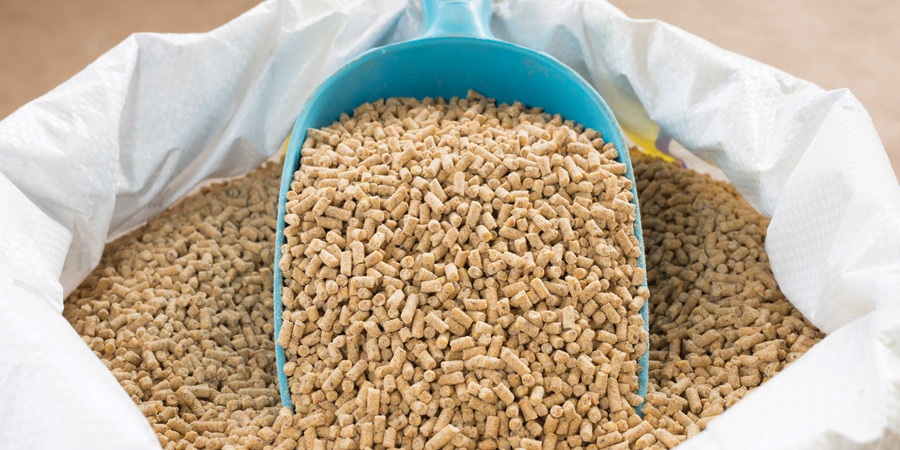 Top Animal Feed Manufacturers in the World