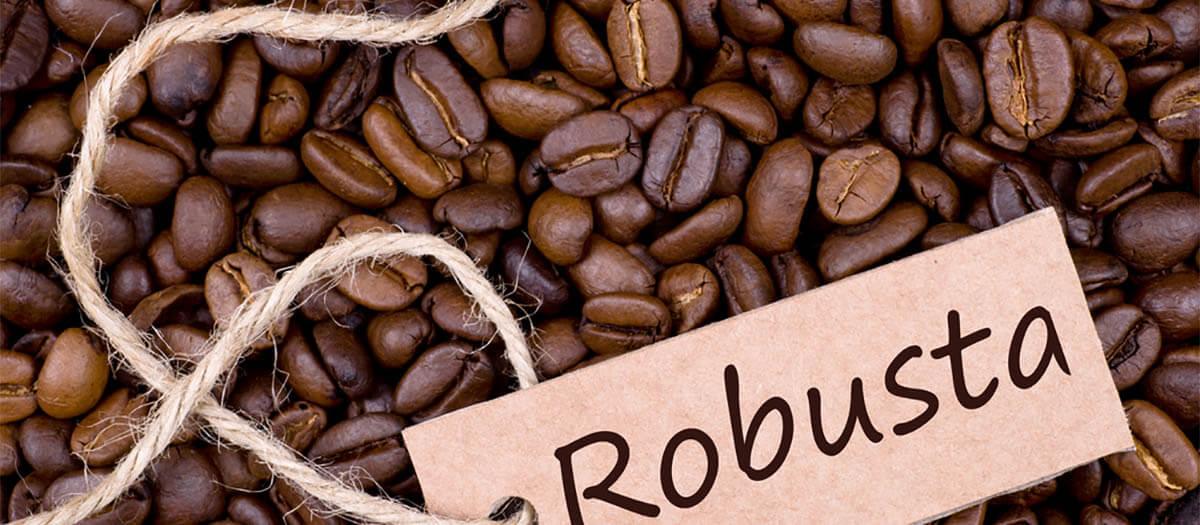 WHERE TO BUY ROBUSTA COFFEE BEANS - TAKE A LOOK AT THE LEADING B2B PLATFORMS