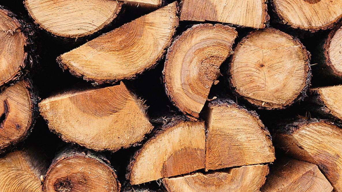 How To Find Wholesale Firewood Buyers