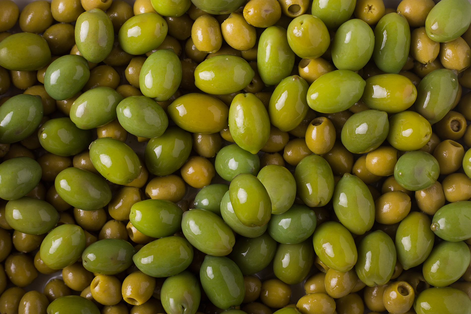 Where to Buy Raw Olives in Bulk Quantities Online