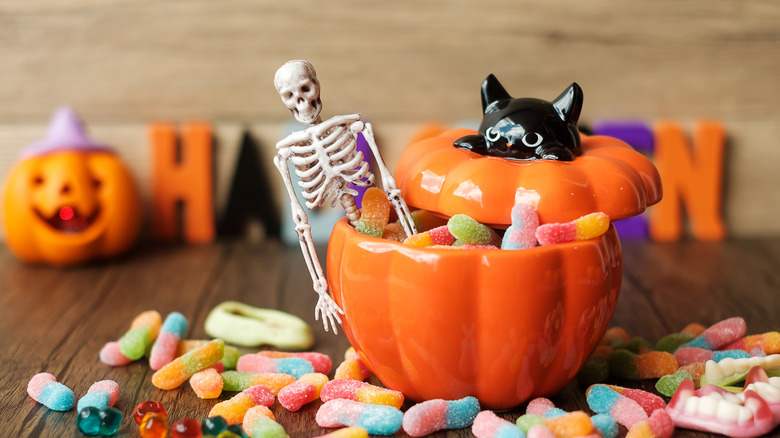 Wholesale Candy Distribution Ideas for Halloween