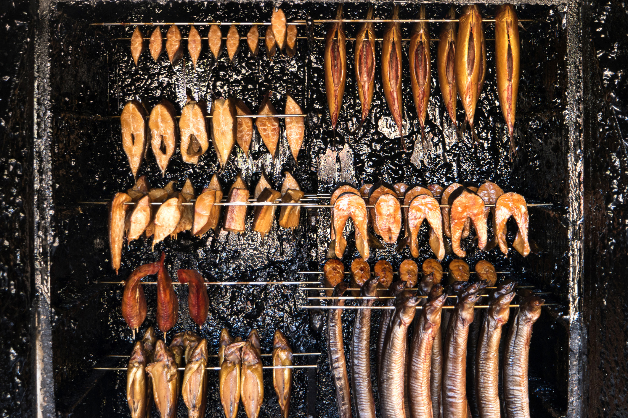 12 Steps to Start Fish Processing Business - Step by Step Guide