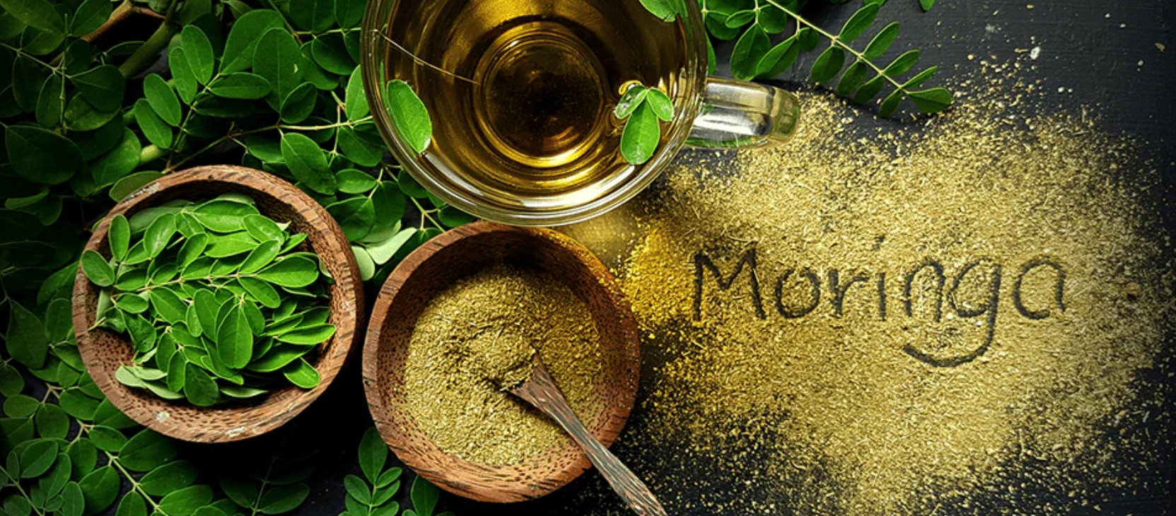 10 Steps to Start a Moringa Business [Business Plan, Costs & Tips]
