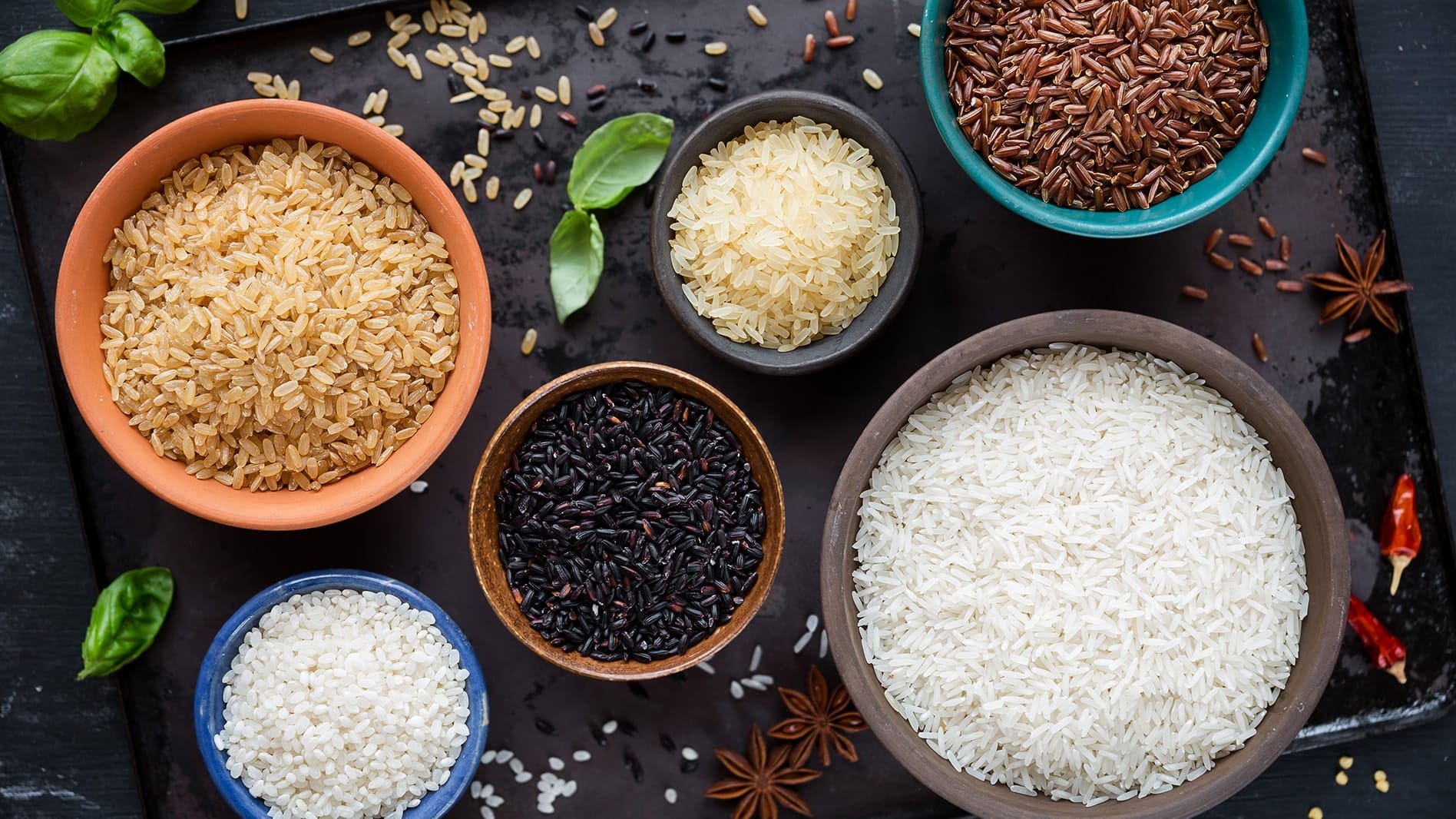 Rice Market Share by Country: Trends, Imports and Export Insights