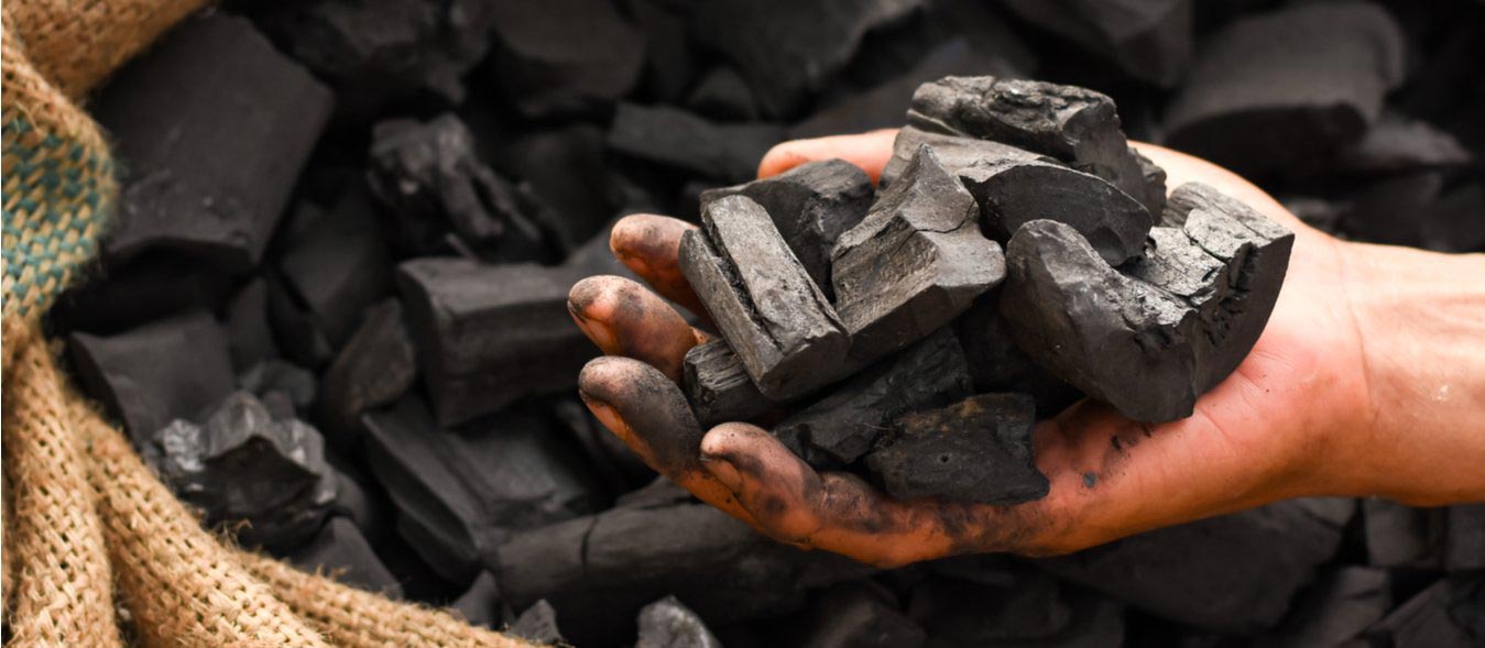 Charcoal Market Size, Trends, Analysis & Growth Forecast