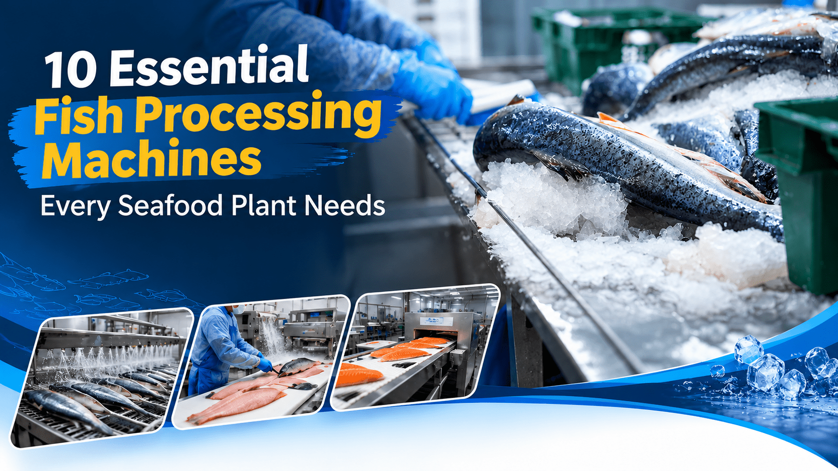 10 Essential Fish Processing Machines Every Seafood Plant Needs
