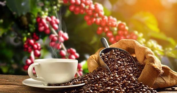 Top 20 Coffee Suppliers for Your Wholesale Business